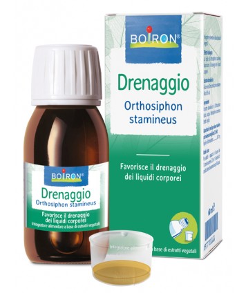 BO.ORTHOSIPHON STA EI 60ML INT