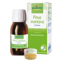 BO.PINUS MONTANA MG 60ML INT