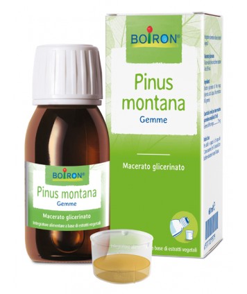 BO.PINUS MONTANA MG 60ML INT