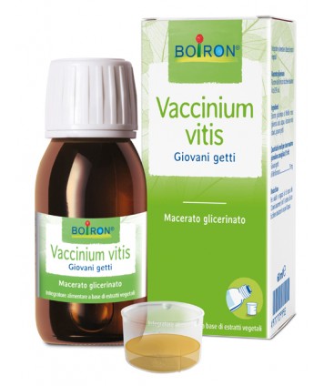 BO.VACCINIUM VITIS MG 60ML INT