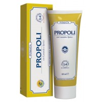 POMATA PROPOLI 100ML (I6/222A) E