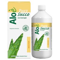 ALOE' ALOE SUCCO/POLPA BIO 1L