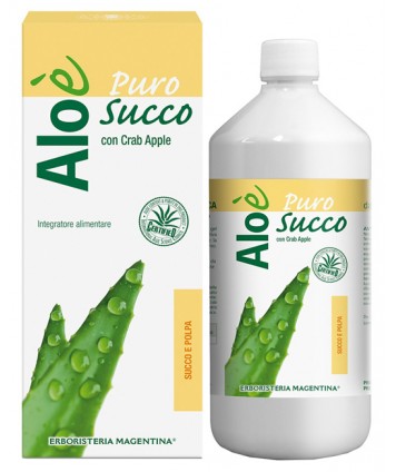 ALOE' ALOE SUCCO/POLPA BIO 1L