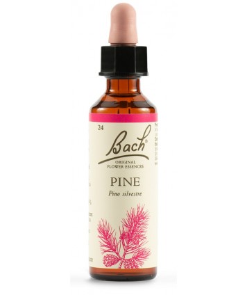 PINE BACH ORIG 20ML