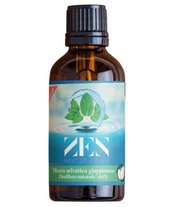 ZEN MINT SPIRIT OIL MENTA100ML