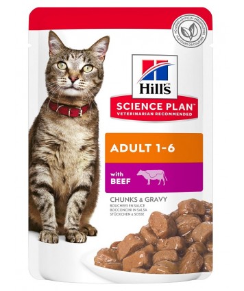 SP FELINE ADULT BEEF 85G