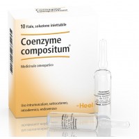 COENZYME COMP 10FL HEEL