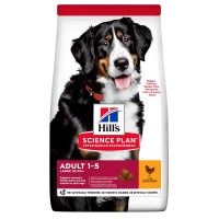 SP CANINE AD AFIT LB CHK 12KG