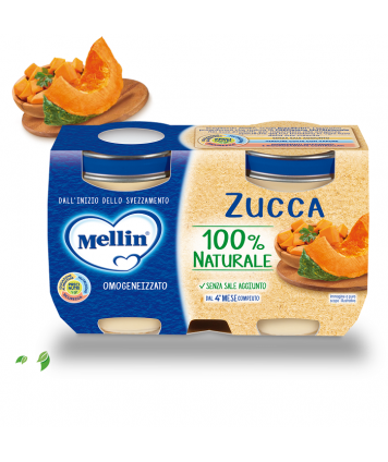 OMOGENEIZZATO ZUCCA 2X125G