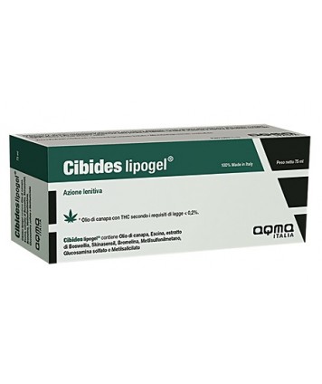 CIBIDES LIPOGEL 75ML