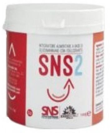 SNS2 100G