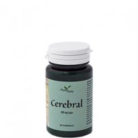 CEREBRAL AYURVED 60CPS PHYTOITAL