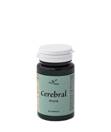 CEREBRAL AYURVED 60CPS PHYTOITAL