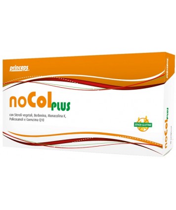 NOCOL PLUS 30CPR 30G