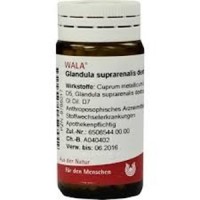 WALA GLANDULA SUPERRENALIS DX CUPRO 20G GLOBULI 