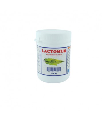 EURONATUR LACTOMUR POLVERE 100G