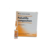 GUNA PULSATILLA COMPOSITUM 10 FIALE DA 1,1ML HEEL