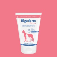 RIGEDERM CREMA 100ML