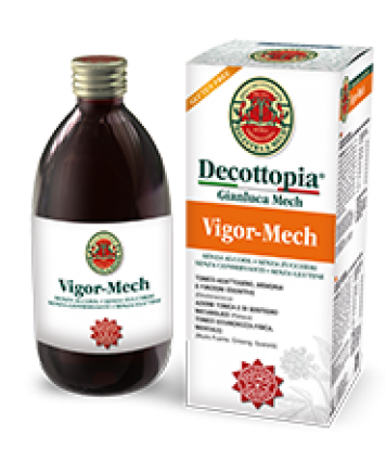 LA DECOTTOPIA VIGOR MECH 30ML